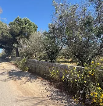 Foto annuncio 17