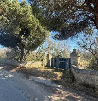 Foto annuncio 14