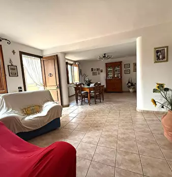 Foto annuncio 7