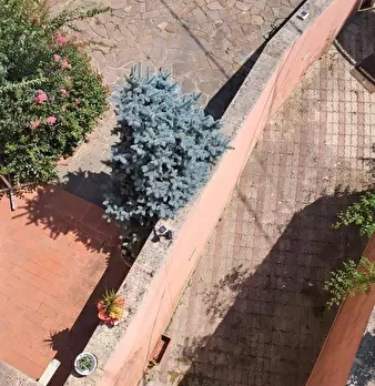 Foto annuncio 34