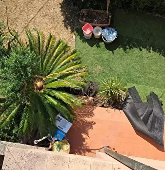 Foto annuncio 31