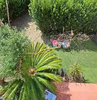 Foto annuncio 7