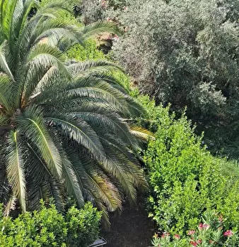 Foto annuncio 42