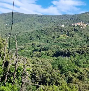 Foto annuncio 12
