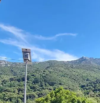 Foto annuncio 32