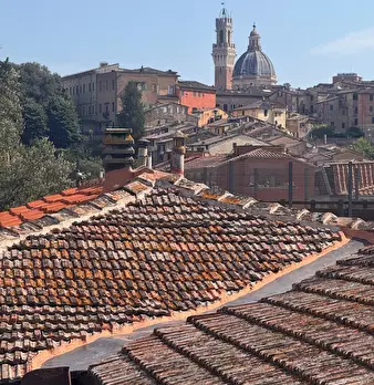 Foto annuncio 19