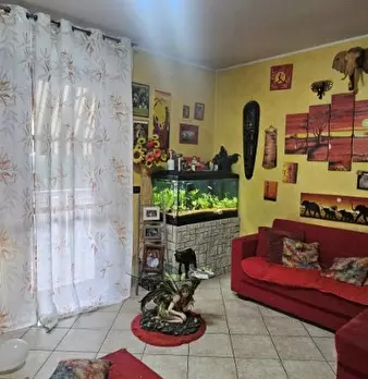 Foto annuncio 5