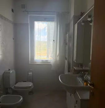 Foto annuncio 31