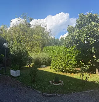 Foto annuncio 28