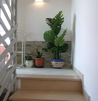 Foto annuncio 7