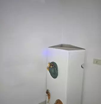 Foto annuncio 25