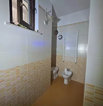 Foto annuncio 28