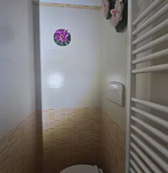 Foto annuncio 29