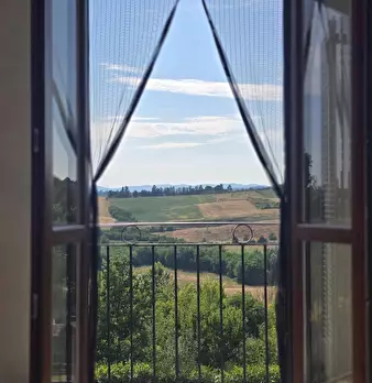 Foto annuncio 12