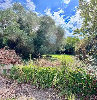 Foto annuncio 31