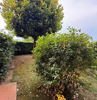 Foto annuncio 36