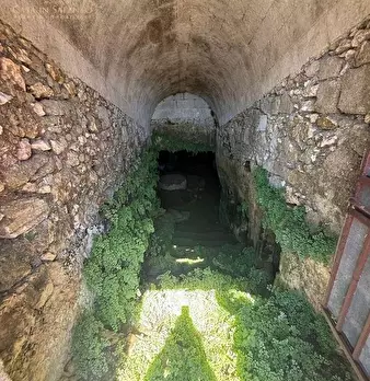 Foto annuncio 16
