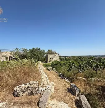Foto annuncio 13