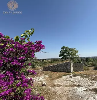 Foto annuncio 14