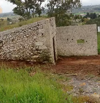 Foto annuncio 34