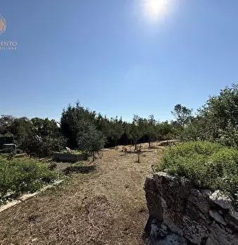 Foto annuncio 6