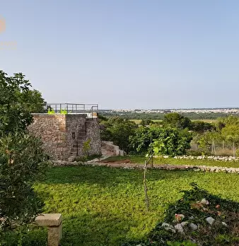 Foto annuncio 4