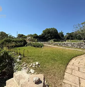 Foto annuncio 9