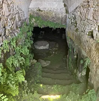Foto annuncio 17