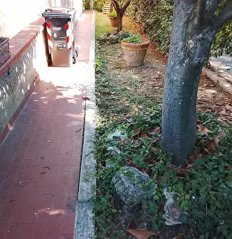 Foto annuncio 17