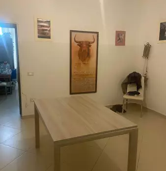 Foto annuncio 9