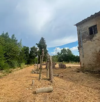 Foto annuncio 6