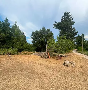 Foto annuncio 7
