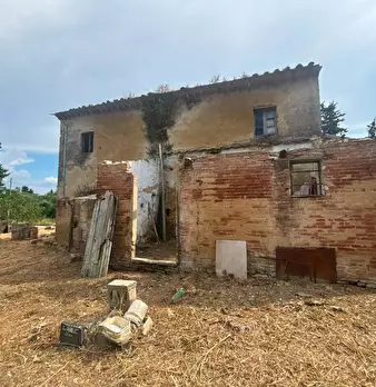 Foto annuncio 2