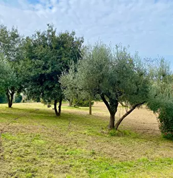 Foto annuncio 8