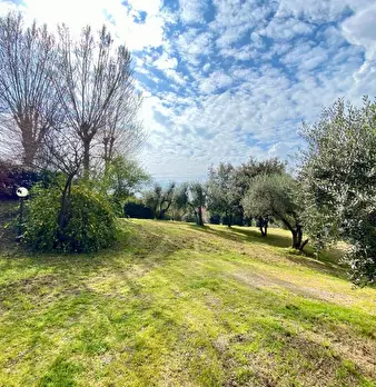 Foto annuncio 45