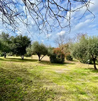 Foto annuncio 43