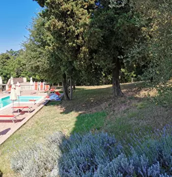 Foto annuncio 39