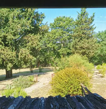 Foto annuncio 18