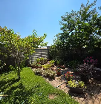 Foto annuncio 38