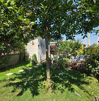 Foto annuncio 37