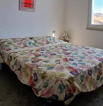 Foto annuncio 4