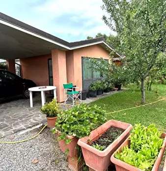 Foto annuncio 29