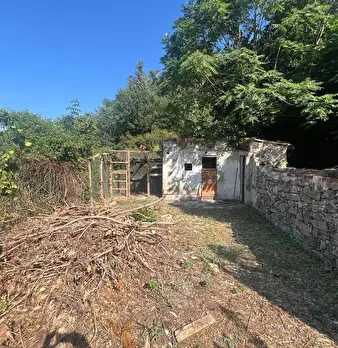 Foto annuncio 46