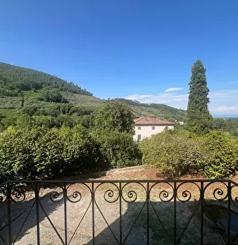 Foto annuncio 19