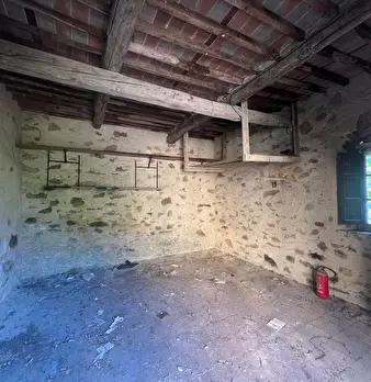 Foto annuncio 42