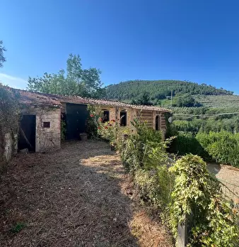 Foto annuncio 51