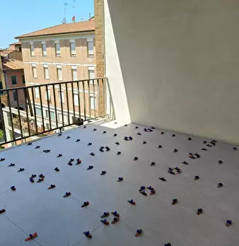 Foto annuncio 5