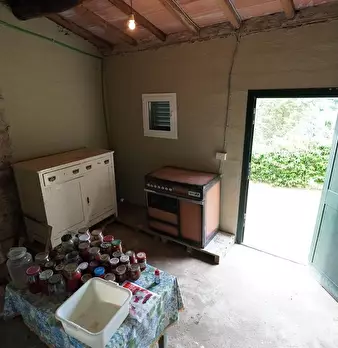 Foto annuncio 31