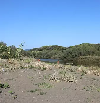 Foto annuncio 25