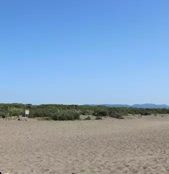 Foto annuncio 24